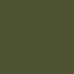 Model Color 967 Olive Green 18 ml